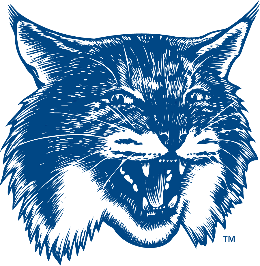 New Hampshire Wildcats 1993-2000 Secondary Logo v3 diy DTF decal sticker